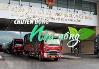 Chuyển động Nhà nông 8/6: Bộ NN&PTNT đề xuất Hải quan Trung Quốc sớm ký Nghị định thư về an toàn thực phẩm