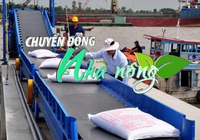 Chuyển động Nhà nông 9/6: Việt Nam trở thành nước xuất khẩu gạo lớn nhất vào Trung Quốc