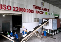 Trung An (TAR) lộ tham vọng lớn về xuất khẩu lúa gạo, muốn chào bán hơn 76 triệu cổ phiếu