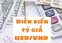 Giá USD đã “leo đỉnh” như thế nào từ đầu năm tới nay?