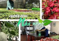 Chuyển động Nhà nông 24/9: Thời cơ mới cho thương mại nông nghiệp Việt - Trung