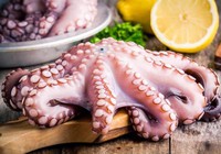 Xuất khẩu mực, bạch tuộc sang Hàn Quốc có dấu hiệu tích cực