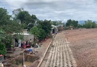Video: Bùn đất trôi vào nhà dân sau mưa lớn ở Đà Nẵng