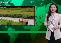 Bản tin Dân Việt Nóng 29/9: Hàng chục nghìn ha hoa màu bị thiệt hại do mưa lũ ở Bắc và Trung Bộ