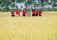 Quảng Trị: Agribank sát cánh cùng bà con nông dân cho những vụ mùa bội thu