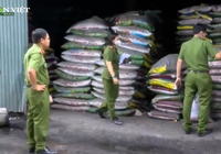Video: Đột kích hang ổ sản xuất chứa 271 tấn phân bón giả của ông Giám đốc 7X ở Quảng Ngãi