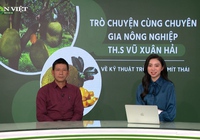 GÓC CHUYÊN GIA: Một số lưu ý của chuyên gia khi lựa chọn phân bón cho cây mít Thái 
