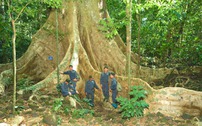 Trao danh hiệu Danh lục xanh cho Vườn quốc gia Cát Tiên 