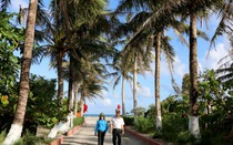 Ra Trường Sa ngắm đảo dừa giữa Biển Đông