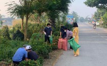 Trầm trồ tuyến đường siêu đẹp ở làng mai vàng Bình Lợi, người dân dọn vệ sinh không cần chờ phát động
