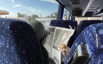 Xe buýt bánh mì- Xe đò Hoàng gây thương nhớ ở California