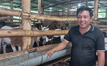 Tổ hội nuôi dê của một xã thuộc huyện Tánh Linh ở Bình Thuận tạo việc làm cho 30 lao động, thu nhập cao