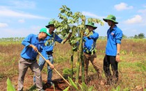 Đắk Lắk: Bồi dưỡng nghiệp vụ công tác xây dựng nông thôn mới cho đoàn viên thanh niên