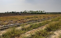 Hiểm họa thuốc độc bên mâm cơm người Việt: Cần xử lý tận gốc, xử lý triệt để các đầu nậu 