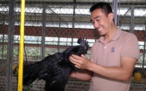 Những tỷ phú nông dân ở Quảng Ninh, có tỷ phú "Duy gà đen" nuôi giống gà lạ đắt nhất thế giới