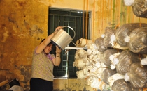 Nữ Chủ tịch Hội Nông dân cơ sở ở Quảng Ninh “nói dân nghe, làm dân theo”