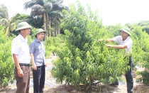 Hội Nông dân tỉnh Hải Dương đào tạo nghề, hỗ trợ nông dân tham gia phát triển hợp tác xã