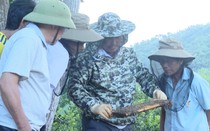 Ở một huyện của Quảng Bình, dạy nghề kiểu cầm tay chỉ việc, nông dân tự tin kiếm thu nhập tốt hơn