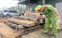 Cảnh sát kinh tế phát hiện lượng lớn gỗ lậu tại khu vực hồ cá ở Thừa Thiên Huế 