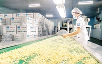 Việt Nam là nguồn cung lớn nhất một loại hạt cho Mỹ, Trung Quốc nhưng cũng nhập lượng lớn hạt này từ Campuchia
