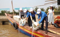 Sở NNPTNT cùng Bộ đội Biên phòng Ninh Bình thả 15.400 con cá vược ra cửa sông Đáy