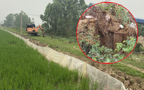 Lò mổ không phép tại Mỹ Đức (Hà Nội) vẫn hoạt động xuyên đêm, tái diễn đổ rác thải sau khi chính quyền xử lý