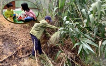 Trăn trở nỗi lo cho con đến trường của người bố chỉ còn một mắt