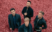 Giá vé concert Westlife ngang ngửa giá đêm diễn của Hoàng Thùy Linh, khán giả dự đoán sớm cháy vé