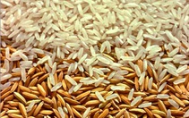 Giá gạo trong nước tăng, giá xuất khẩu giảm nhẹ