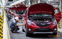 Thị trường ô tô Việt phục hồi ra sao khi giảm 50% lệ phí trước bạ?