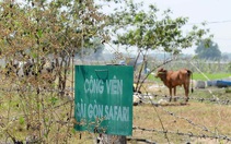 Củ Chi kiến nghị dừng dự án Sài Gòn Safari chuyển thành Khu công nghiệp kỹ thuật cao