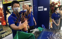 Cuối năm, nhà giàu Sài Gòn chuộng tôm hùm Úc, cá bơn, bào ngư Hàn Quốc