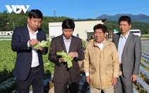 Nhật Bản nâng tầm giá trị nông sản thành công 