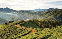 Cõi thiên thai Nuwara Eliya