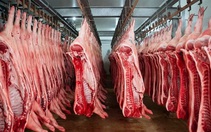 Nhập khẩu thịt gấp 20 lần xuất khẩu thịt