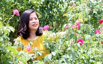 Bình Phước: Chăm sóc vườn hồng chuẩn bị chơi hoa tết