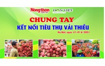 Bạn đọc NTNN/Điện tử Dân Việt đặt hàng vải thiều Lục Ngạn từ 2 giờ sáng