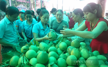 Thừa Thiên - Huế hỗ trợ đưa hộ sản xuất nông nghiệp lên sàn thương mại điện tử để tránh bị ép giá