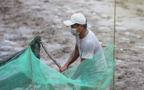 Ảnh: Người dân lao động mò cua, bắt cá lay lắt sống qua ngày tại TP.HCM