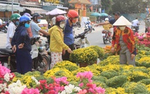 Thấy ghe hoa về bến Bình Đông là thấy Tết