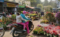 Điểm danh 9 chợ hoa Tết nổi tiếng nhất Hà Nội đón Xuân 2022