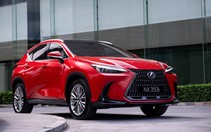 Triệu hồi Lexus NX350 tại Việt Nam do lỗi phanh