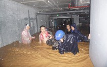 Hình ảnh Đà Nẵng chìm trong biển nước, người dân chạy lụt trong đêm