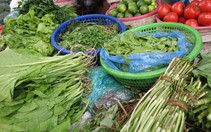 Hà Nội: Thời tiết bất lợi, rau xanh 'quay đầu' tăng giá