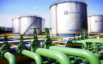 Petrolimex kiến nghị giảm đầu mối xăng dầu, tăng cường kiểm tra đột xuất
