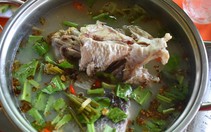 Lẩu cá lóc nấu mẻ rừng U Minh