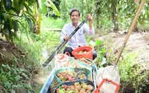 Nông dân xã Ngọc Hòa ở Kiên Giang ngày càng khấm khá với nghề làm vườn, trồng trái cây đặc sản 
