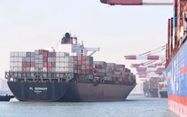 Hủy hàng loạt chuyến tàu container từ Á sang Mỹ, Âu 