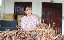 Nhàn rỗi ngồi nhà đan giỏ bằng thứ bèo này, hàng trăm phụ nữ ở Kiên Giang kiếm thêm tiền triệu/tháng