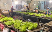 Trái cây Việt trước cơ hội vào thị trường tỉ dân